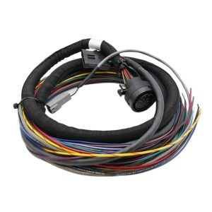 Basic Mechanical Engine Harness - 16 Pin Connector (Actuator & Magnetic Pickup)