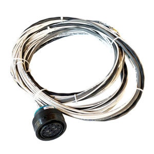 21 Pin 10ft Engine Harness