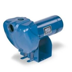 Sta-Rite DS3HF Centrifugal Pump