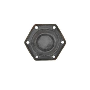 Aqua Diaphragm 1" #1074119