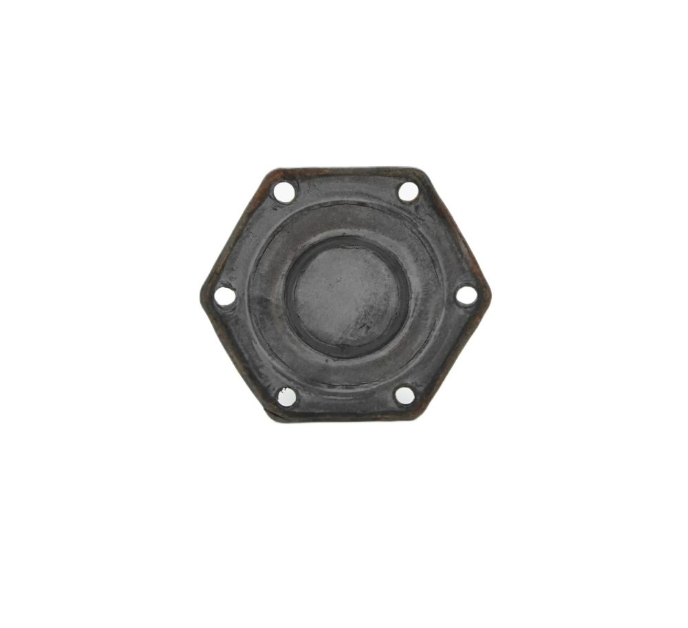 Aqua Diaphragm 1" #1074119