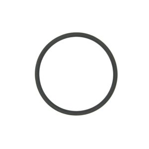 Fuel Filter Bowl Gasket 150 AG Inject