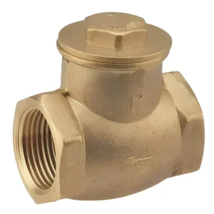 Swing Check Valve